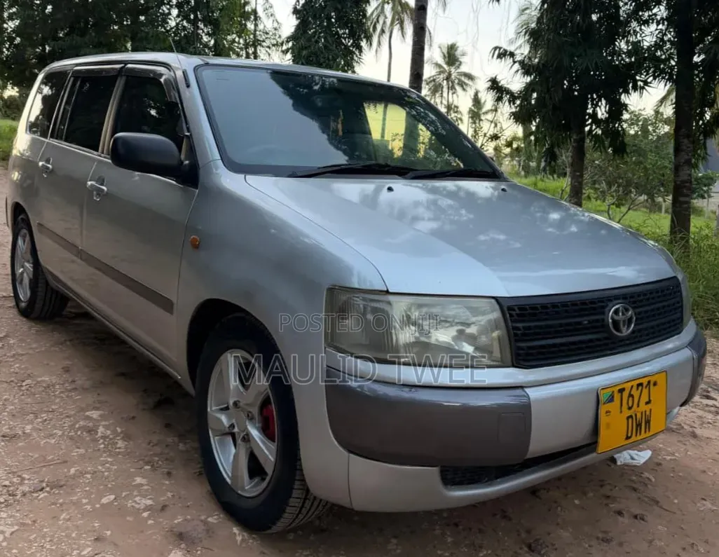 Toyota Probox 2004 Silver