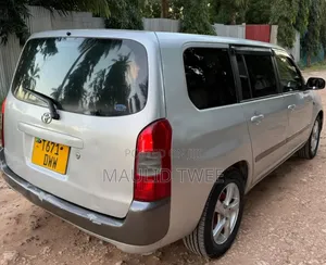 Toyota Probox 2004 Silver
