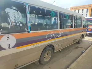 Toyota Coaster 2002 Grey