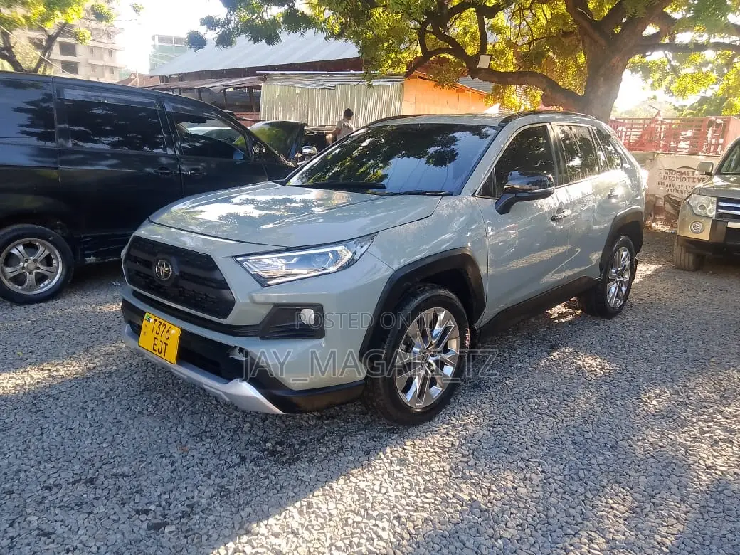 Toyota RAV4 2019 Gray
