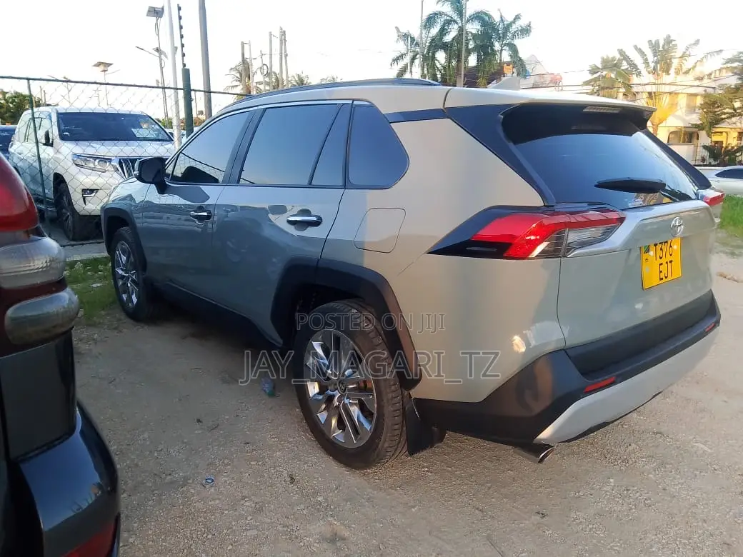 Toyota RAV4 2019 Gray
