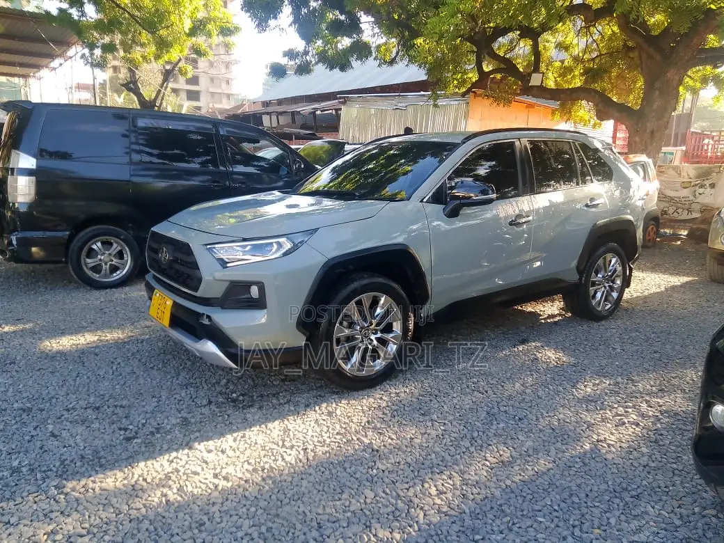 Toyota RAV4 2019 Gray