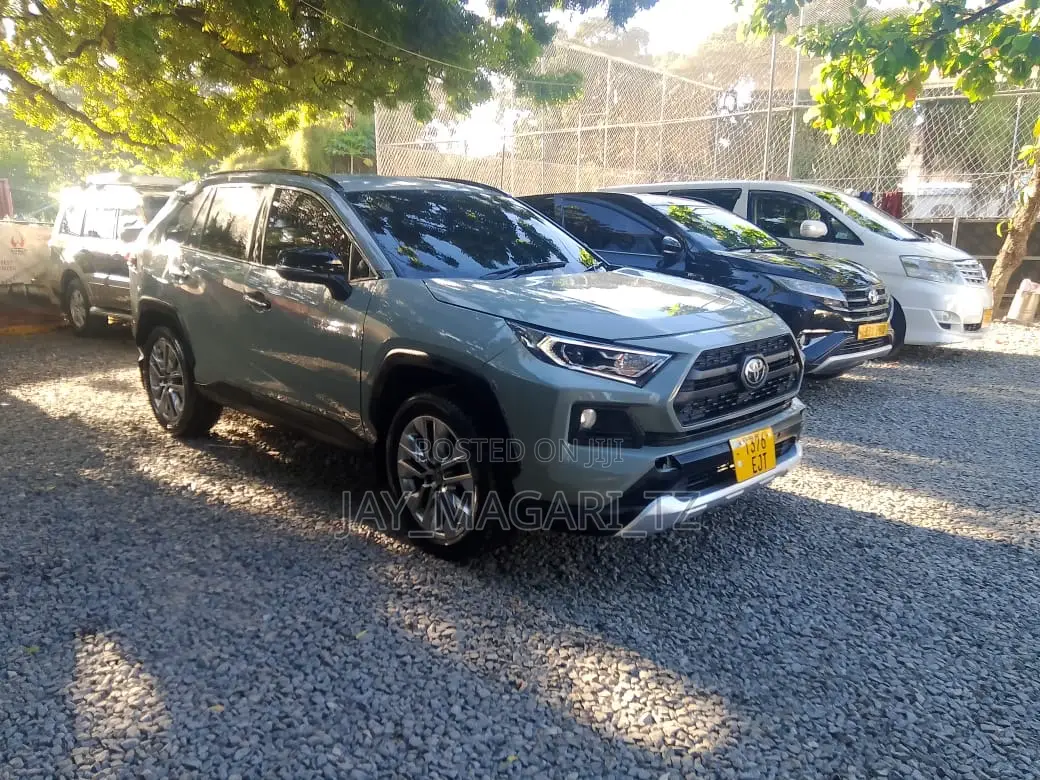 Toyota RAV4 2019 Gray