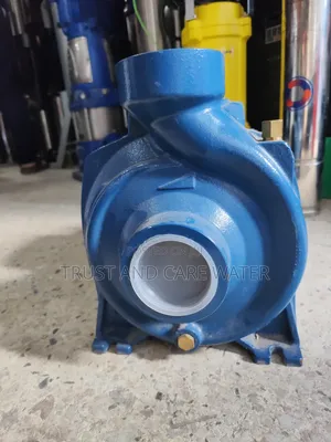 Pedrollo Surface Pump 1.5hp No.1 (2×2inch)