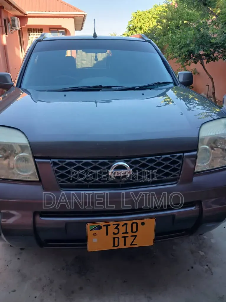 Nissan X-Trail 2.0 2005 Gray