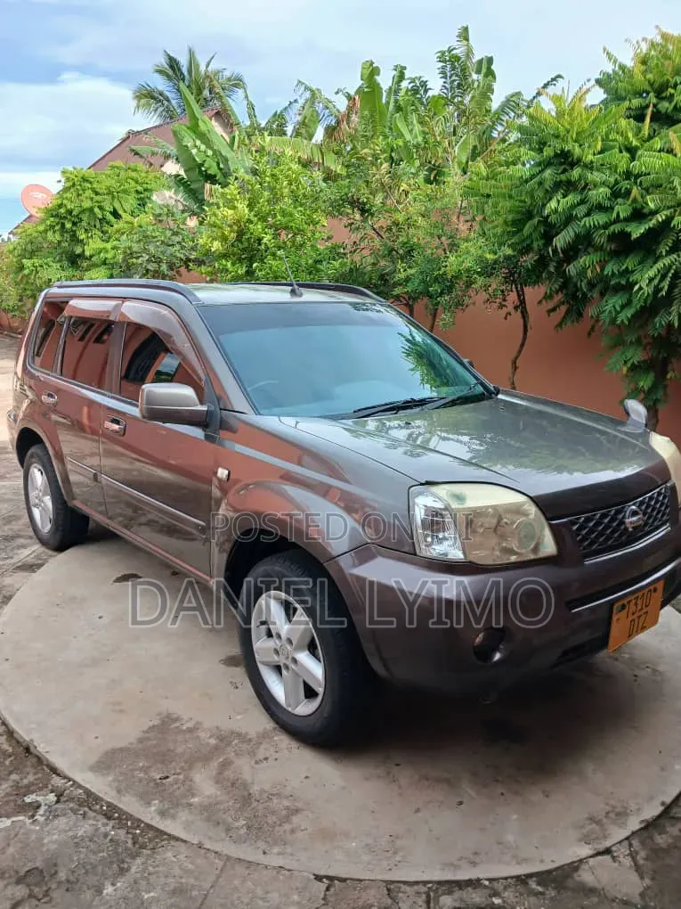 Nissan X-Trail 2.0 2005 Gray