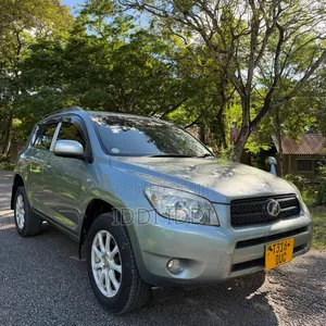 Toyota RAV4 2009 Gray
