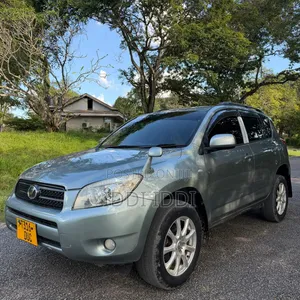 Toyota RAV4 2009 Gray