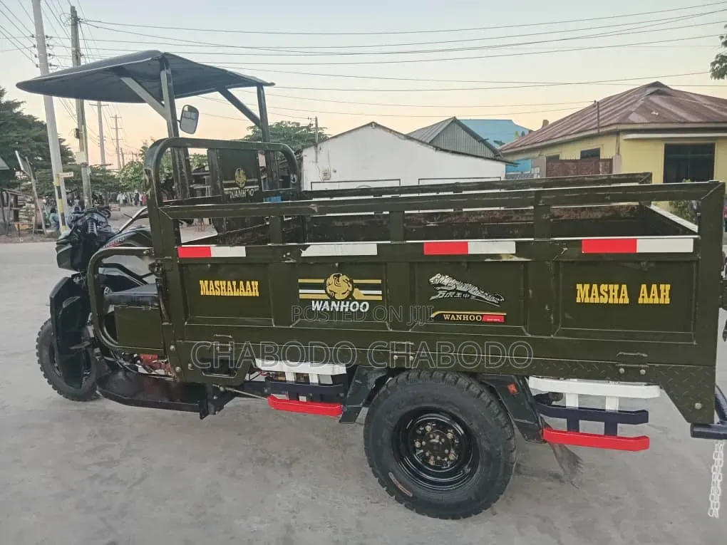 Focin 250cc 2025 Green