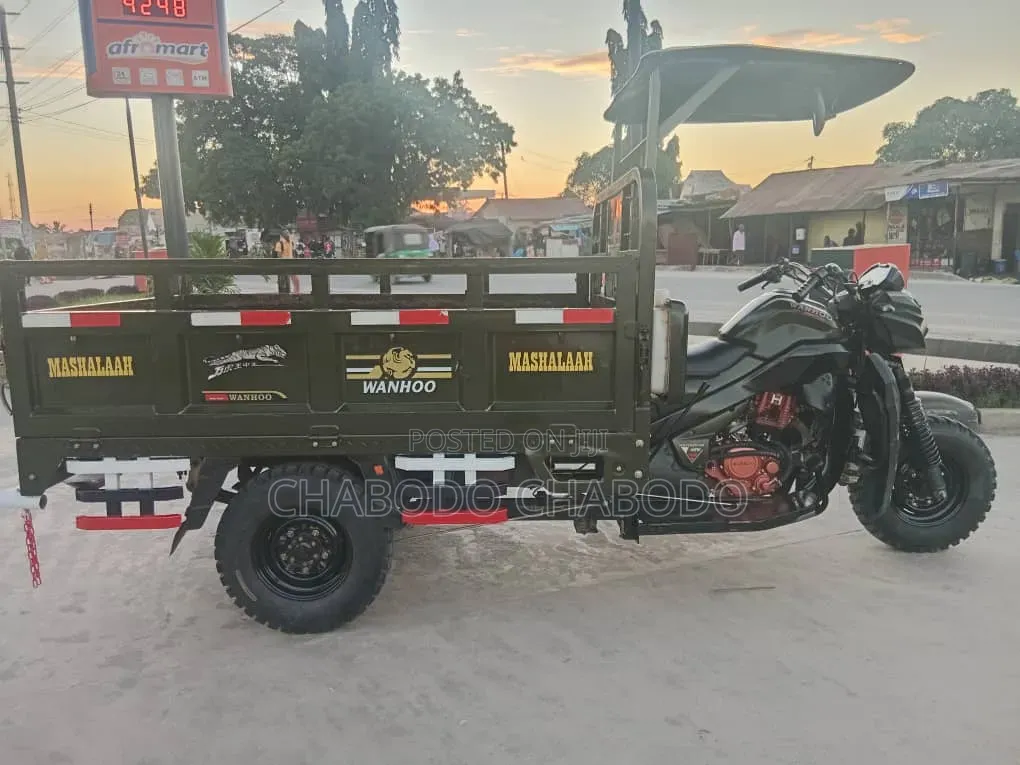 Focin 250cc 2025 Green