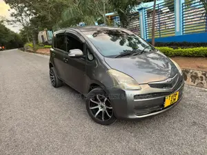 Toyota Ractis 1.3 FWD 2007 Gray