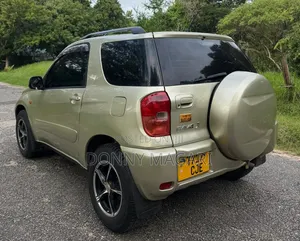 Toyota RAV4 2004 Gold