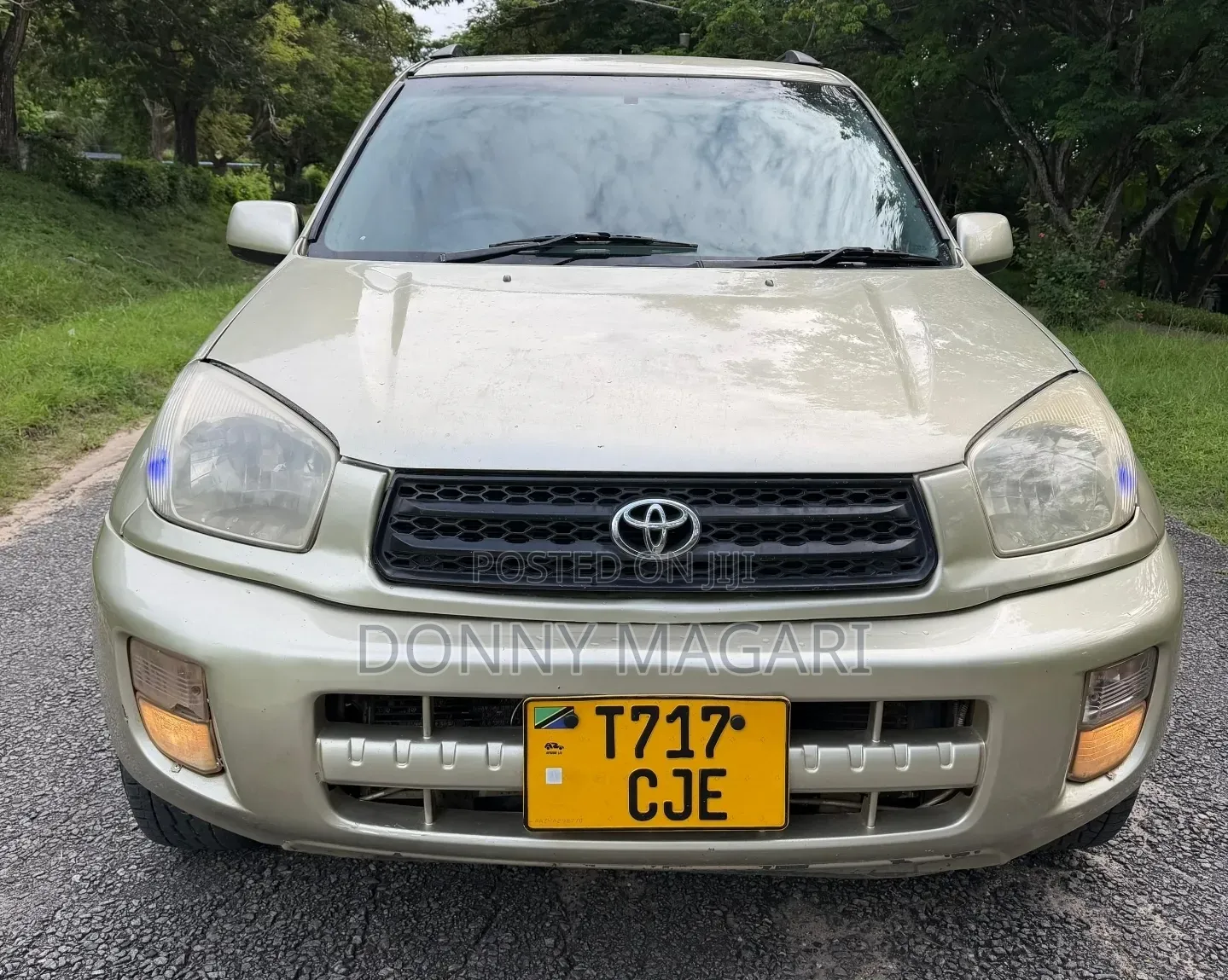 Toyota RAV4 2004 Gold