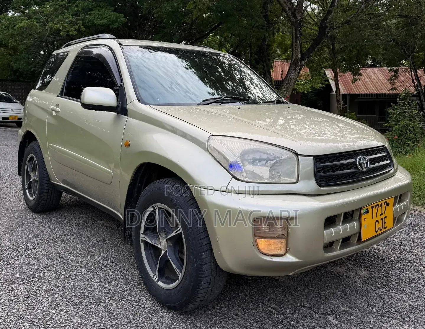 Toyota RAV4 2004 Gold