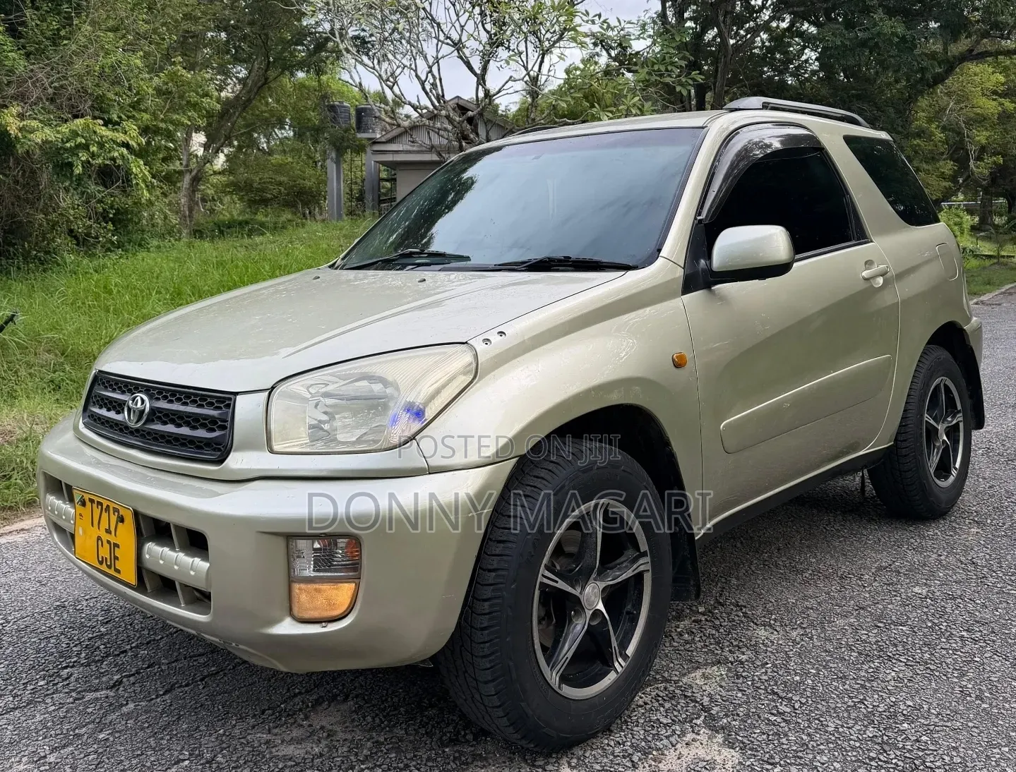 Toyota RAV4 2004 Gold