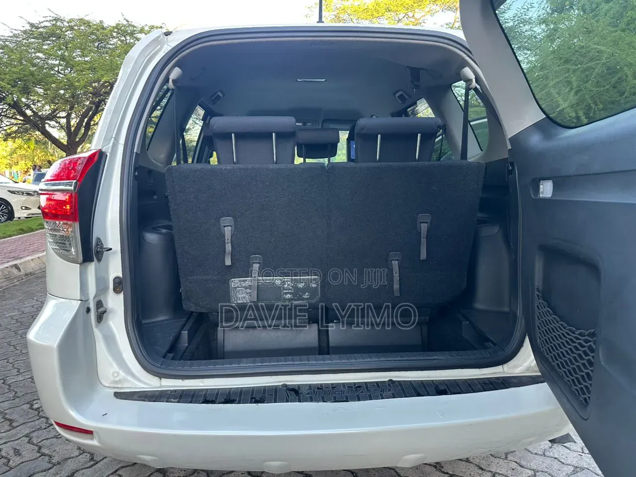 Toyota Vanguard 2010 Pearl