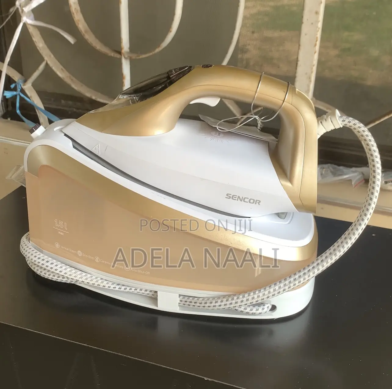 Steam Iron