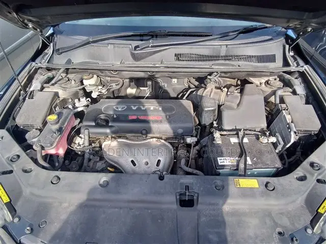 Toyota Vanguard 2007 Green