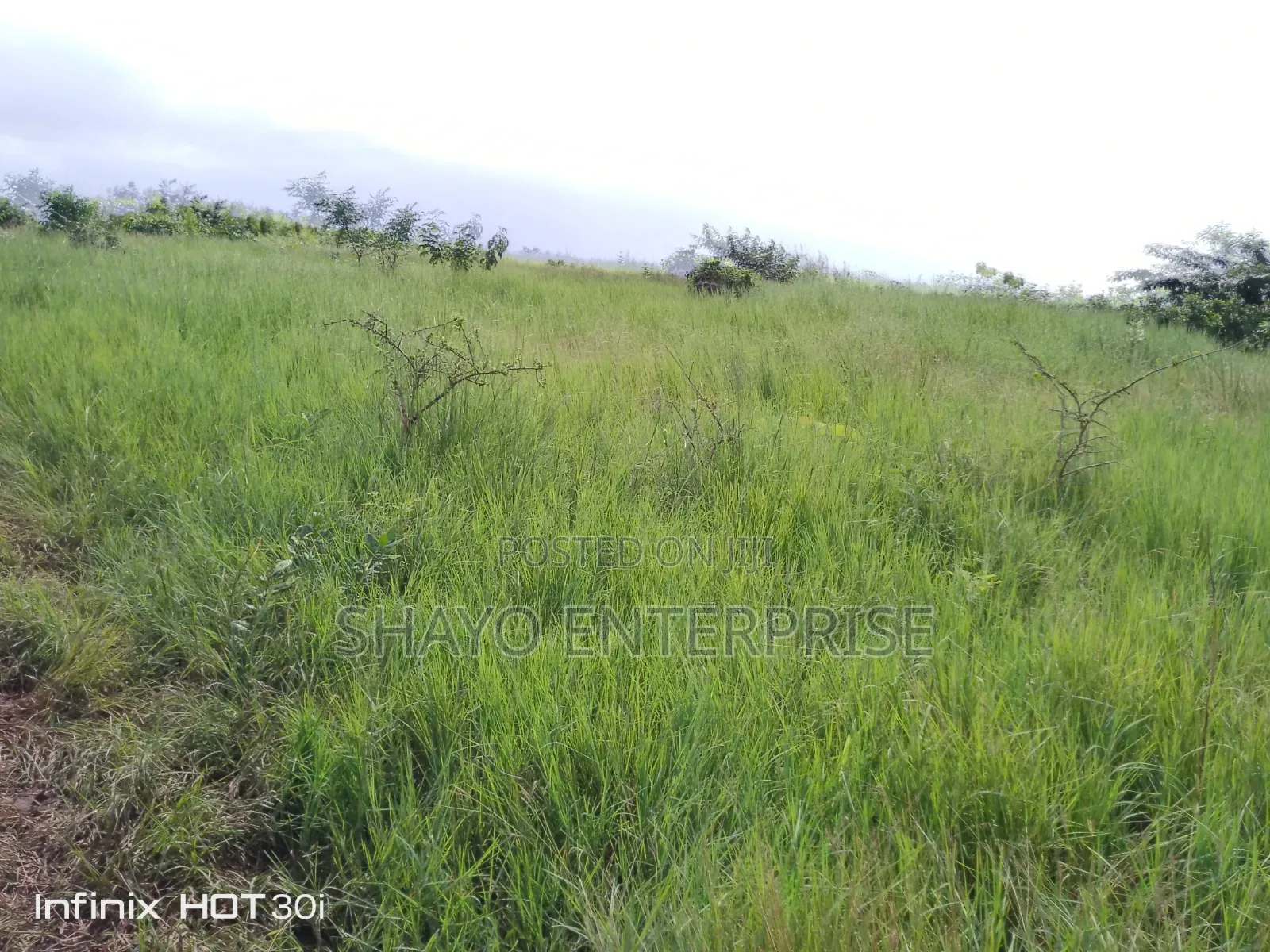 Shamba Linauzwa