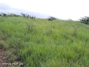 Shamba Linauzwa