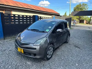 Toyota Ractis 2008 Gray