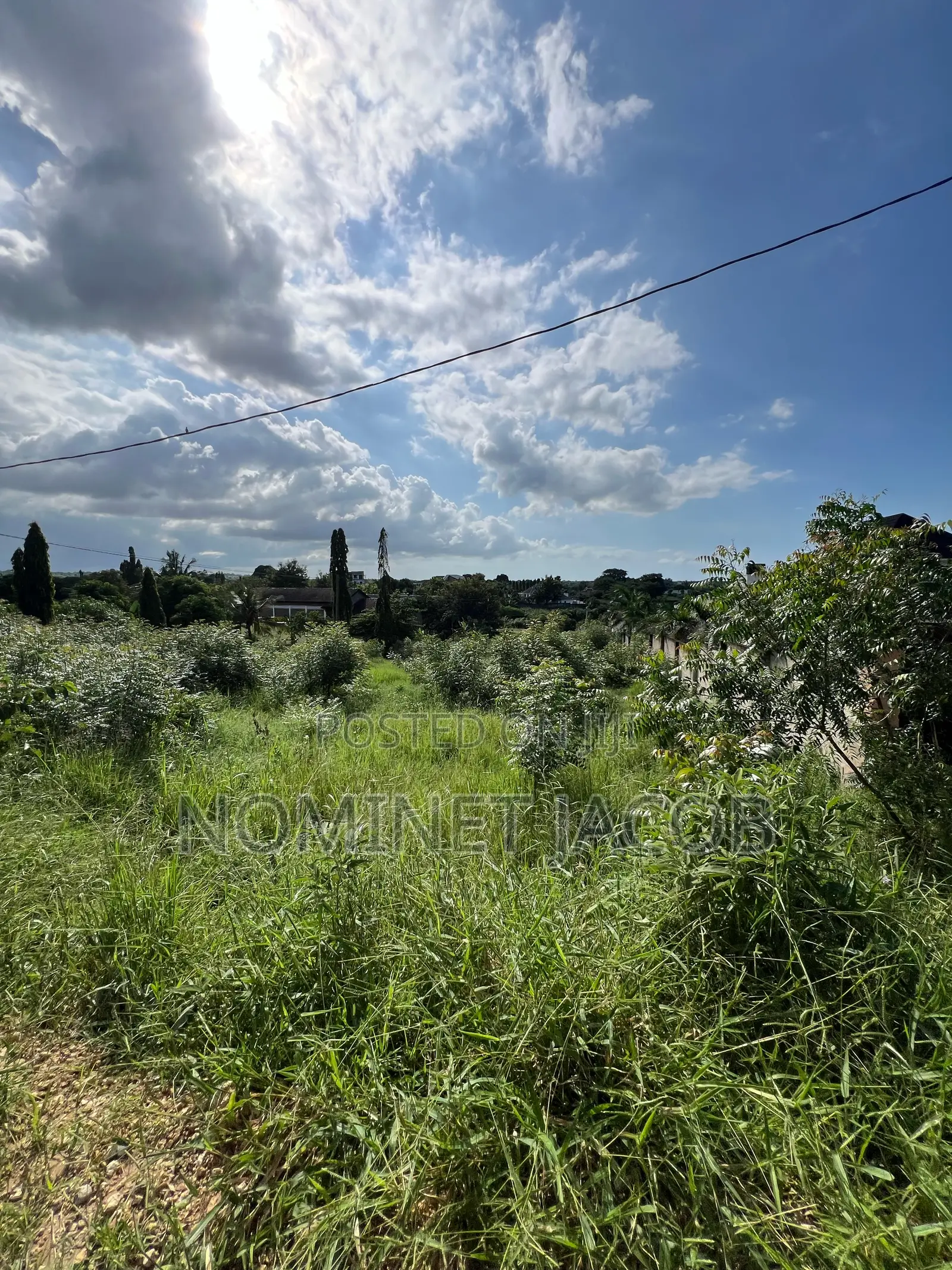Plot for Sale