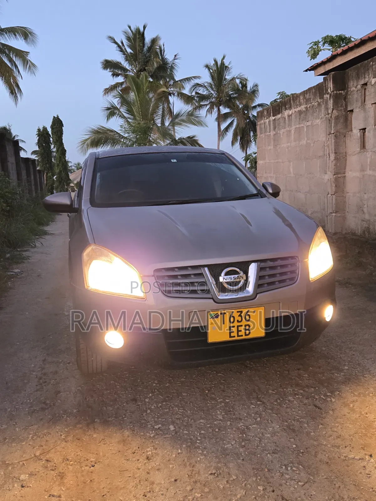 Nissan Dualis 2007 Gray