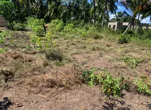 Plot Ina Uzwa