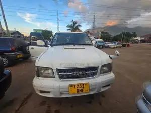 Isuzu Trooper 2001 White