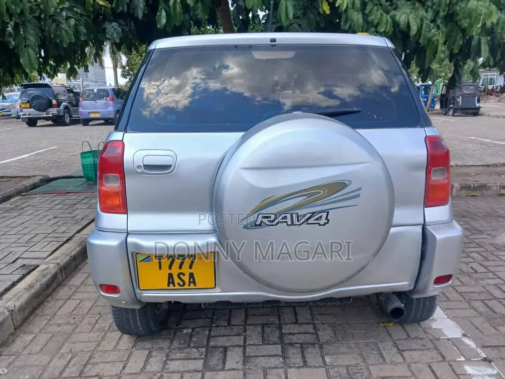 Toyota RAV4 2004 Silver