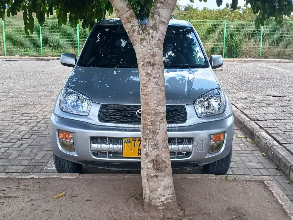 Toyota RAV4 2004 Silver