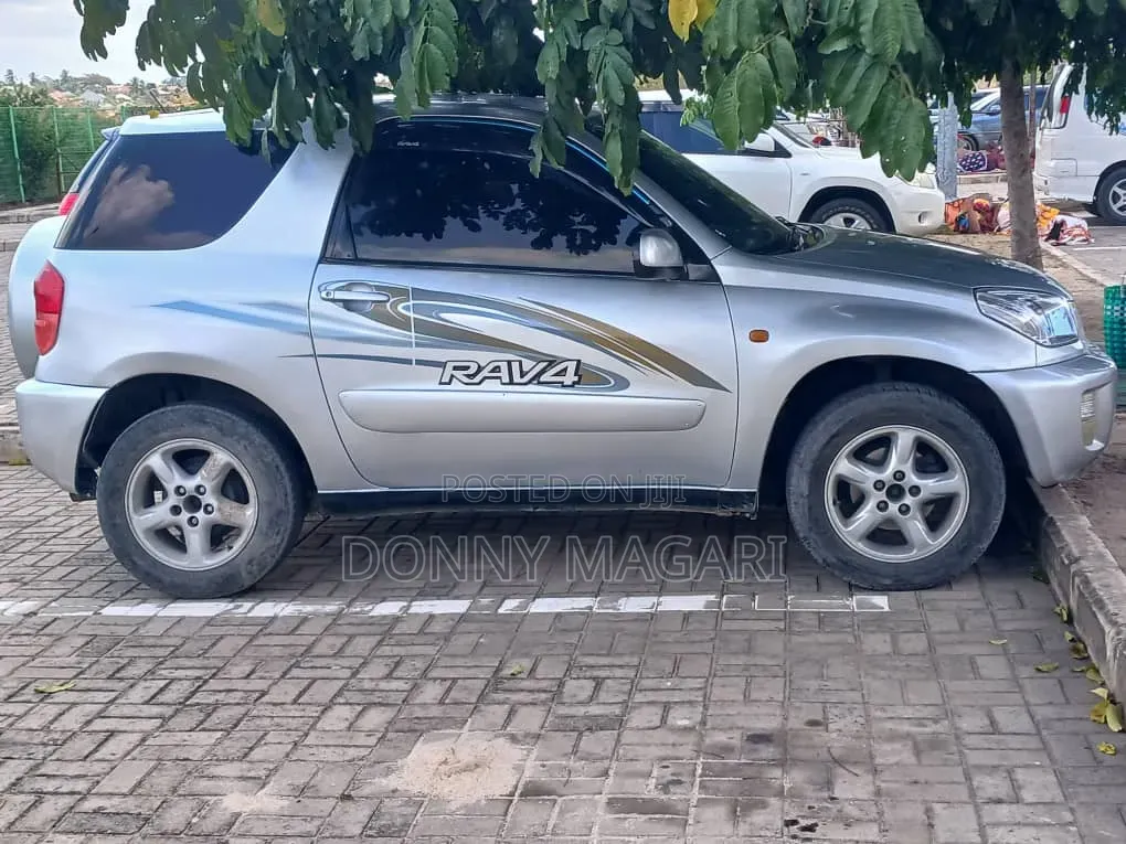 Toyota RAV4 2004 Silver