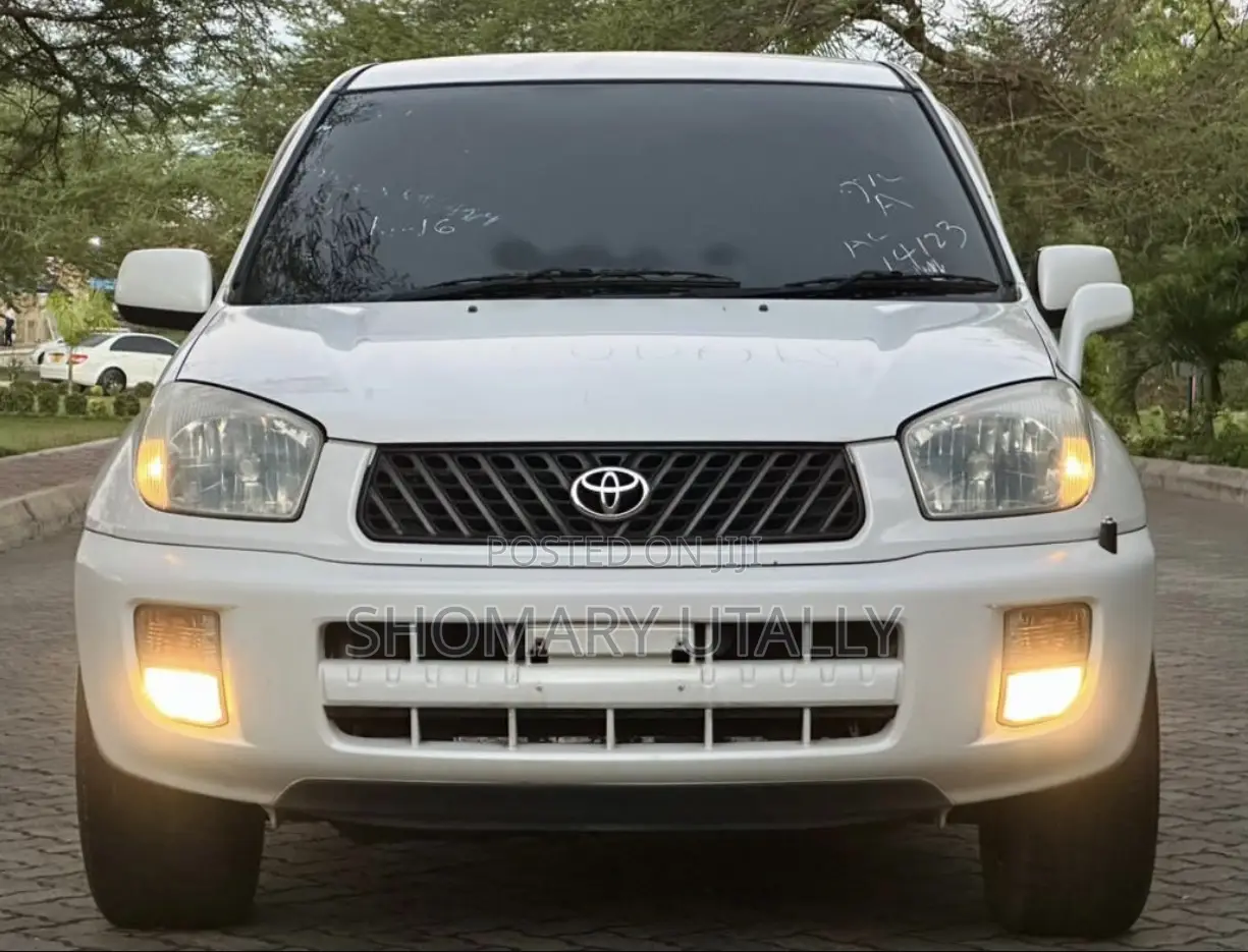 Toyota RAV4 Automatic 2003 White