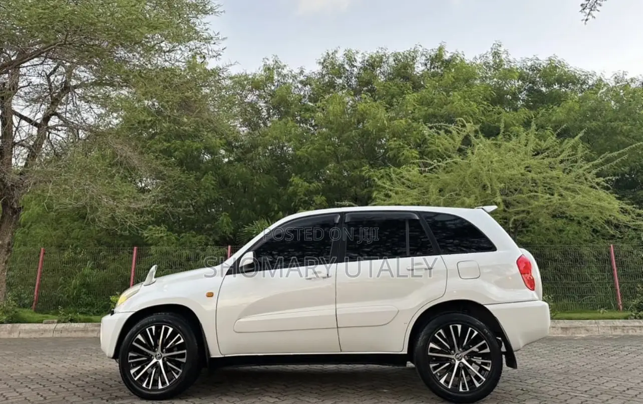 Toyota RAV4 Automatic 2003 White