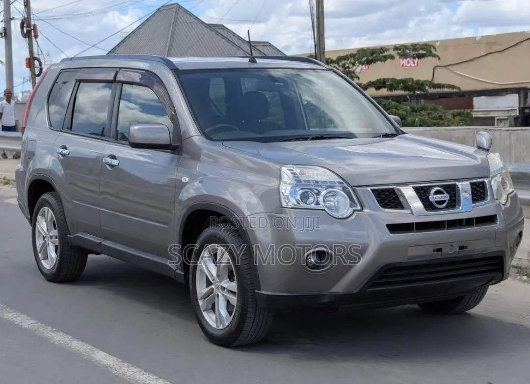 Nissan X-Trail 2010 Gray