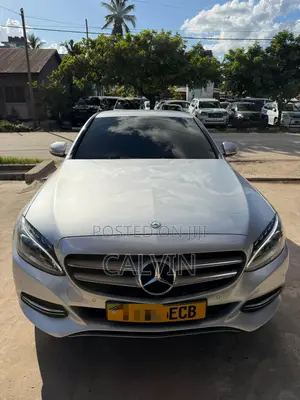 Mercedes-Benz C-Class 2014 Silver