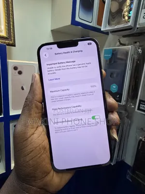 Apple iPhone 13 Pro Max 256 GB Blue