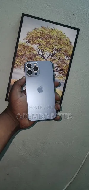 Apple iPhone 13 Pro Max 128 GB Gray