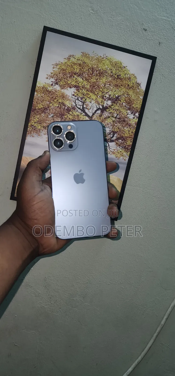 Apple iPhone 13 Pro Max 128 GB Gray
