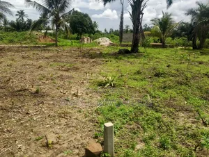 Viwanja Vinauzwa Chanika Dondwe