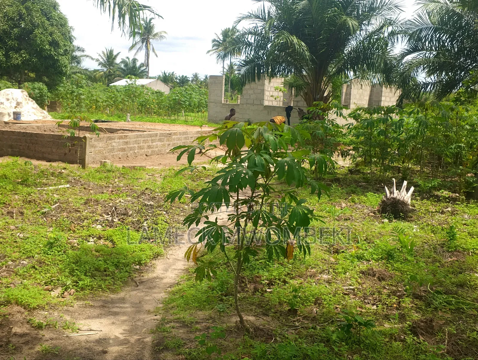 Viwanja Vinauzwa Chanika Dondwe