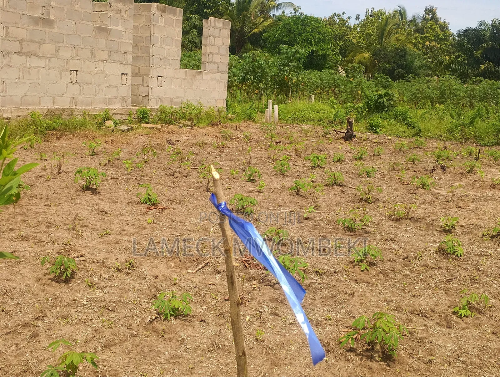 Viwanja Vinauzwa Chanika Dondwe
