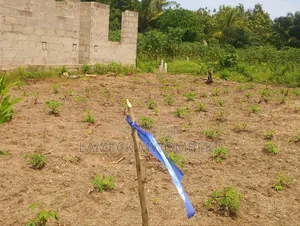 Viwanja Vinauzwa Chanika Dondwe