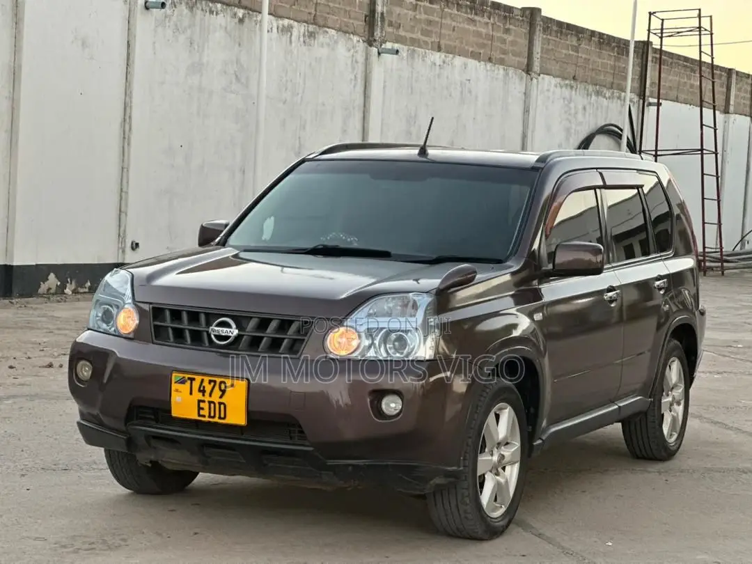 Nissan X-Trail 2008 Brown