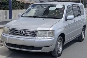 Toyota Probox 2004 Silver