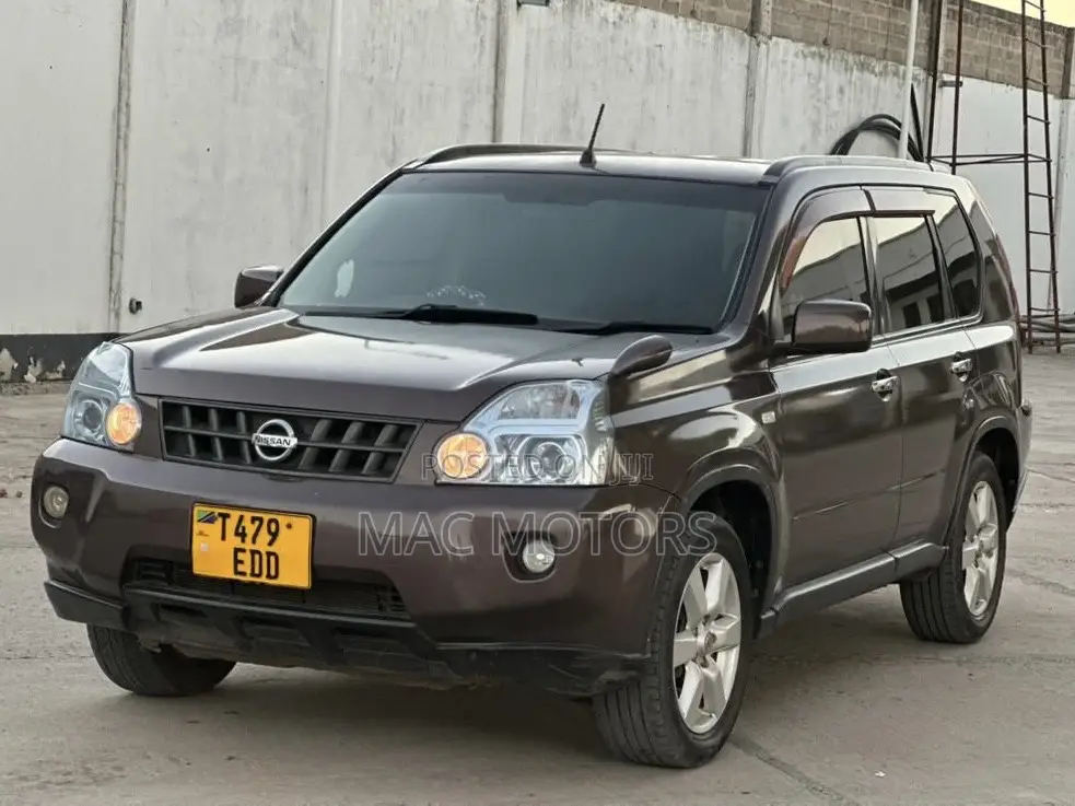 Nissan X-Trail 2007 Brown