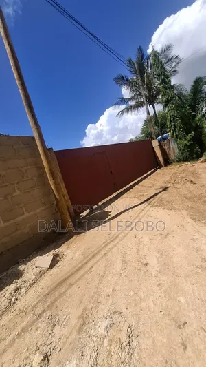 2hector at Salasala Fenced