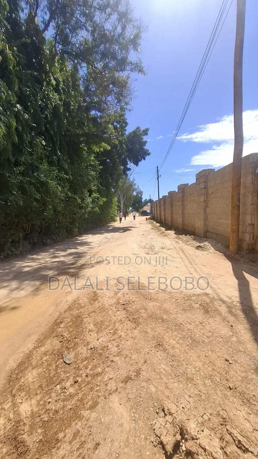 1hector at Salasala Fenced