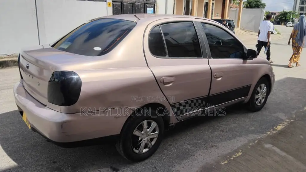 Toyota Platz 2000 Brown