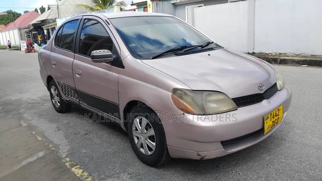 Toyota Platz 2000 Brown